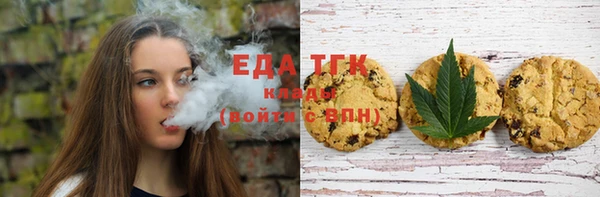 хмурый Новозыбков