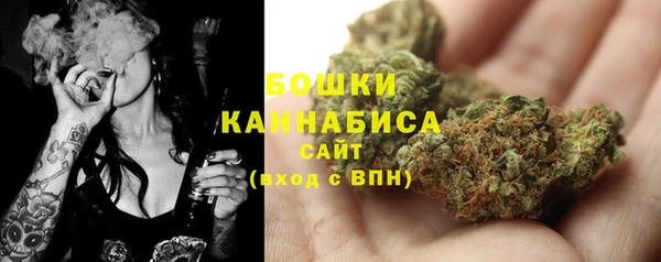 хмурый Новозыбков
