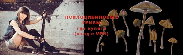 амф Нея