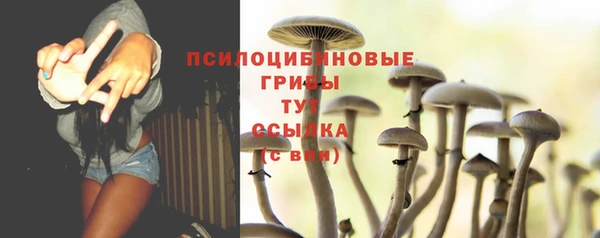 амф Нея