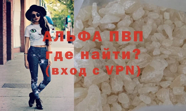 хмурый Новозыбков